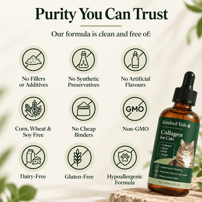 Kindred Tails Liquid Premium Liquid Collagen For Cats