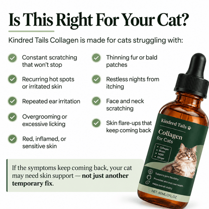 Kindred Tails Liquid Premium Liquid Collagen For Cats